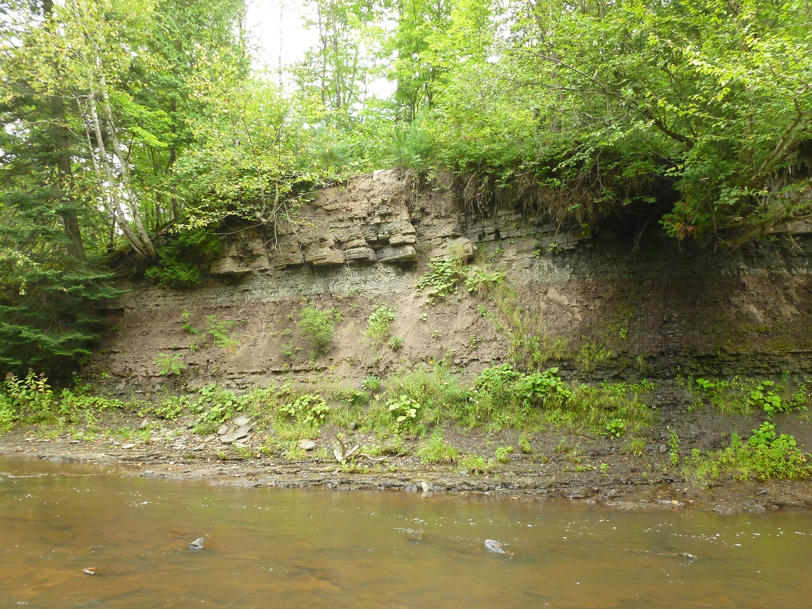 Diverses couches sédimentaires grugées par la rivière Gentilly et visibles au Parc de la Rivière 
Gentilly. Crédit Photo: Archéo-CAD